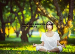 欧博官网-雷霆双子星闪耀联盟，SGA与切特联手改写球队命运